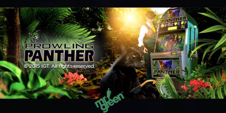 Win EUR15,000 in Prowling Panther Giveaway at Mr Green Casino