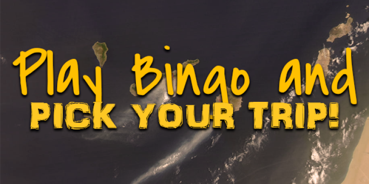 Pick Your Trip to Win at Bet365 Bingo