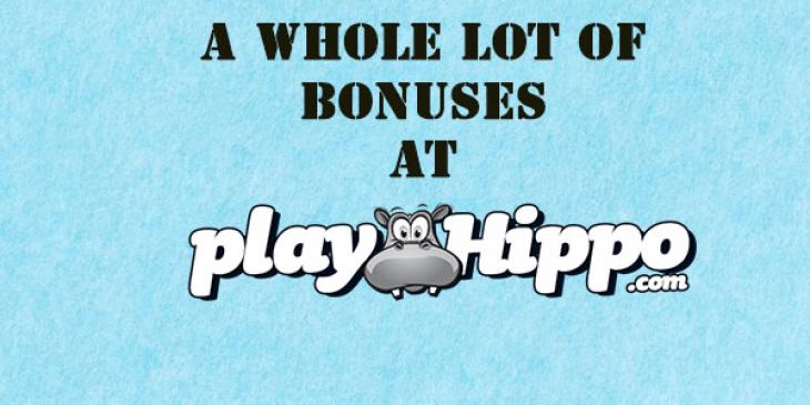 PlayHippo Casino Offers Thousand Dollar Bonuses