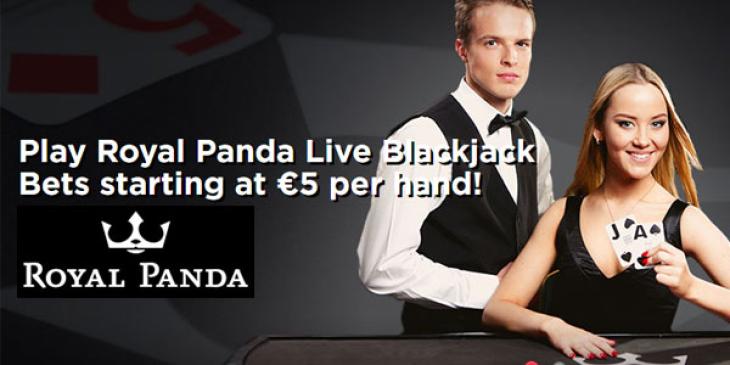 Go to Royal Panda on the 21st each month to win real money blackjack prizes!