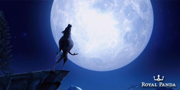Receive 50% up to $250 with the Full Moon Bonus at Royal Panda Casino