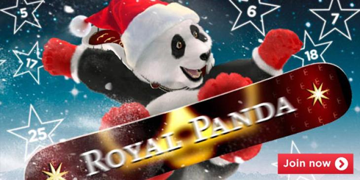 Have a Bonus-Filled Christmas Weekend with the Royal Panda Christmas Calendar