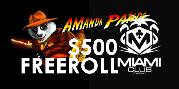 Win USD 500 on the Amanda Panda Slot Freeroll