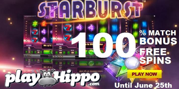 Terrific Rewards at PlayHippo Casino