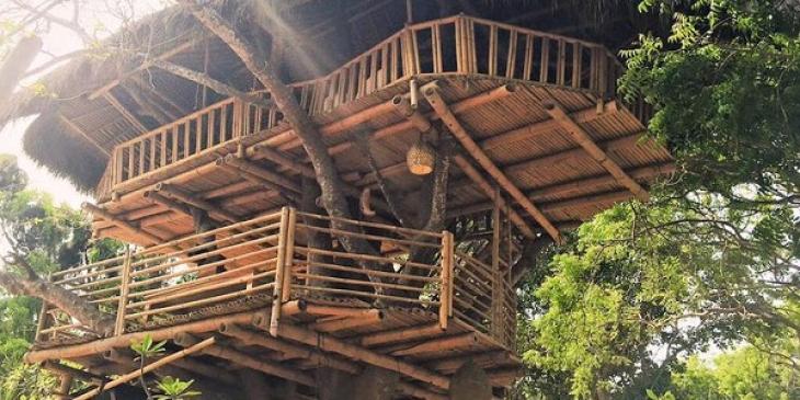 Play Mr Green Casino’s Jungle Sprit for a Chance to Win a Luxury Trip to Bali!