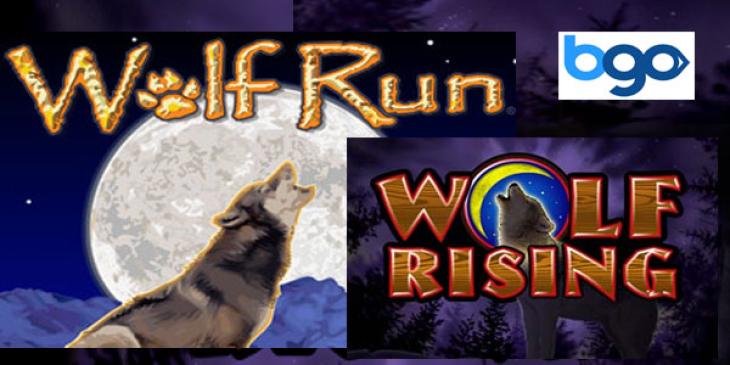 Win Wolf’s Share of GBP 15,000 at bgo Casino