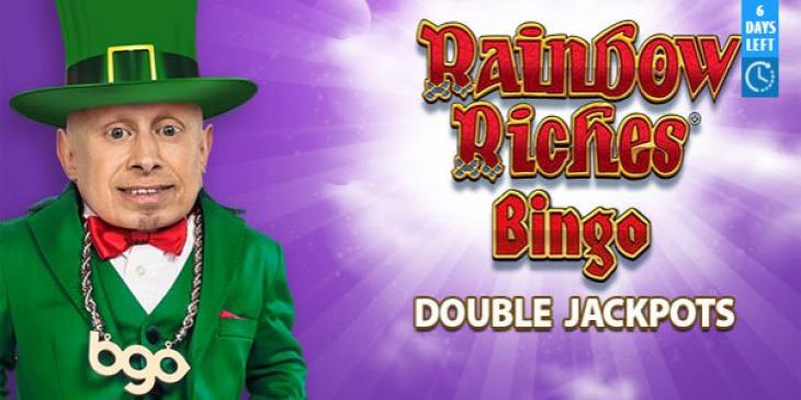 Earn Double Jackpots Playing Online Bingo With bgo Bingo!