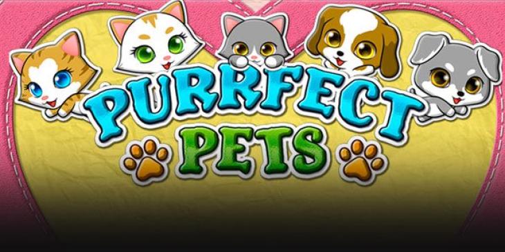 New Players can Earn Free Spins for Purrfect Pets This Weekend at FairGo Casino!
