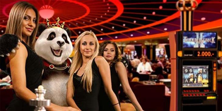 Earn a Huge Online Blackjack Cash Prize Every Month at Royal Panda Casino!
