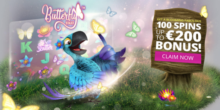 Grab 100 Butterfly Staxx Free Spins at Karamba Casino