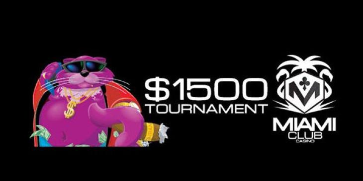 Get Ready to Find the Best Slot Tournaments at Miami Club Casino!