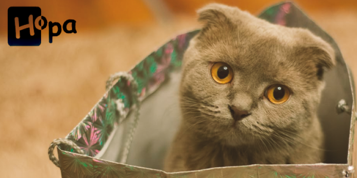 Redeem the New Hopa Mobile Casino Welcome Package