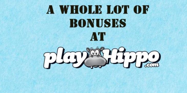 PlayHippo Casino Offers Thousand Dollar Bonuses