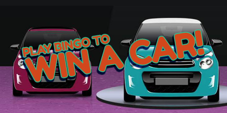 Win a Car at Online Bingo with the Newest Promo of Bet365 Bingo