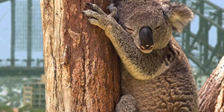 Win Your Share of $4,500 Online Poker Tournament Series at Juicy Stakes!