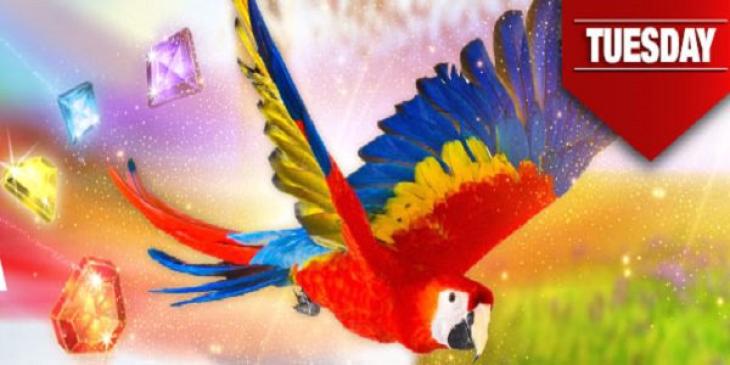 NetBet Casino Offers You The Chance to Win Prizes Every Tuesday!