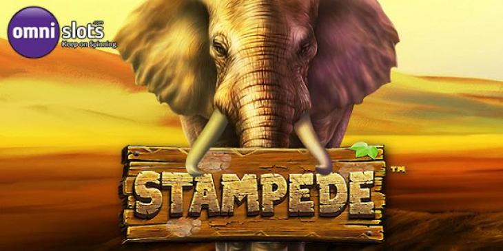 This Omni Slots Deposit Promotion Offers You 20 Free Spins for Stampede Slot!