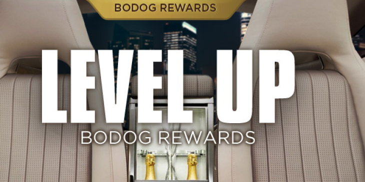 Enjoy Awesome Cashback Bonuses Thanks to Bodog Casino’s Loyalty Rewards Program
