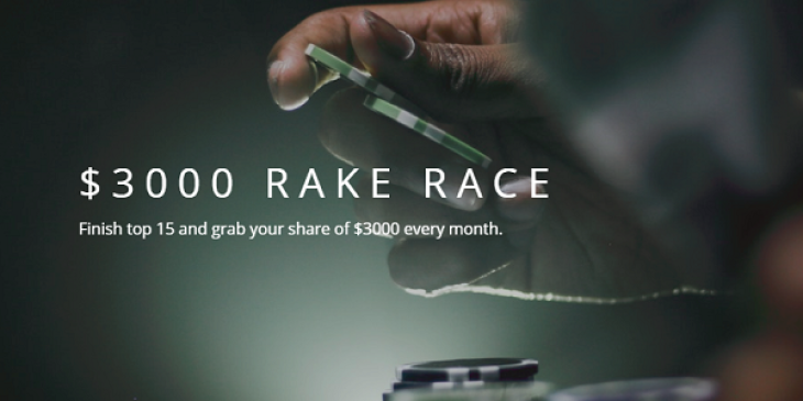 Will You Get Your Share of $3,000 Thanks to Natural8 Poker’s VIP Poker Tournaments