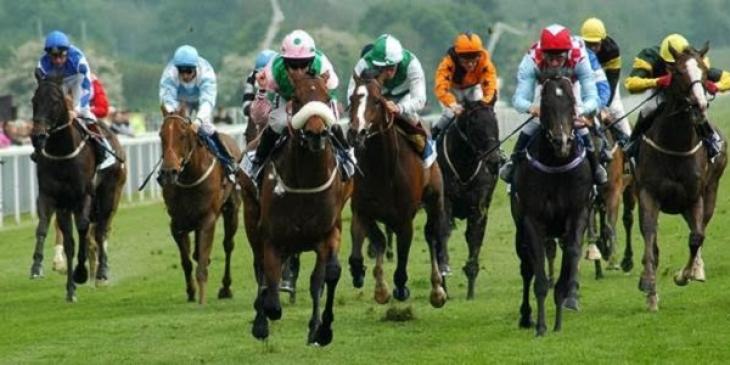 York Races Betting Promo at 888sport Offers GBP 5 Horse Racing Free  Bets!
