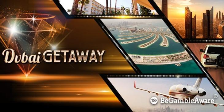 Play Slots at bgo Casino and Win a Trip to Dubai in 2019!