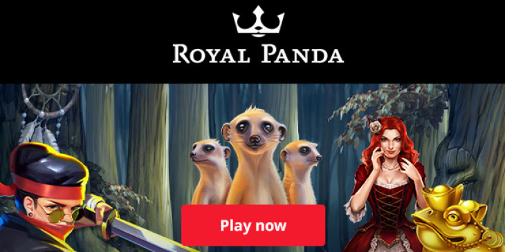 Earn Free Spins Every Day on Royal Panda’s February Discover Week