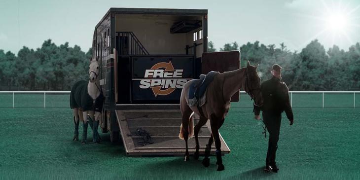 Countdown to Cheltenham Promotion at bet365 Casino