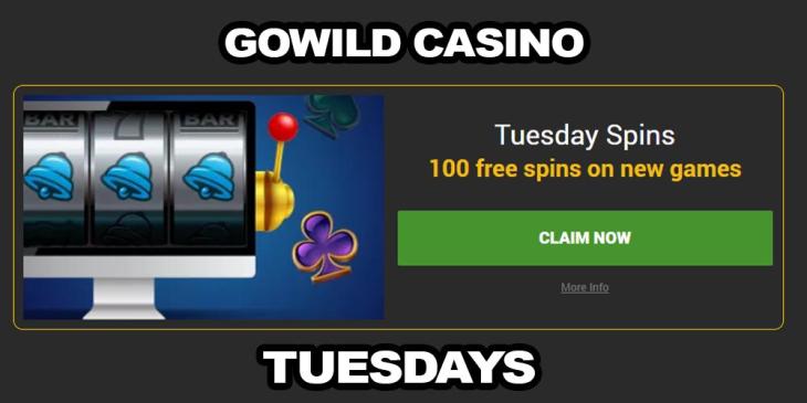 Choose Your Gowild Casino Weekly Bonus to Grab 150 Bonus Spins