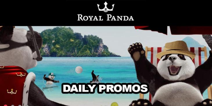 Daily Promotions This Summer – Get Cash Bonuses and Free Spins