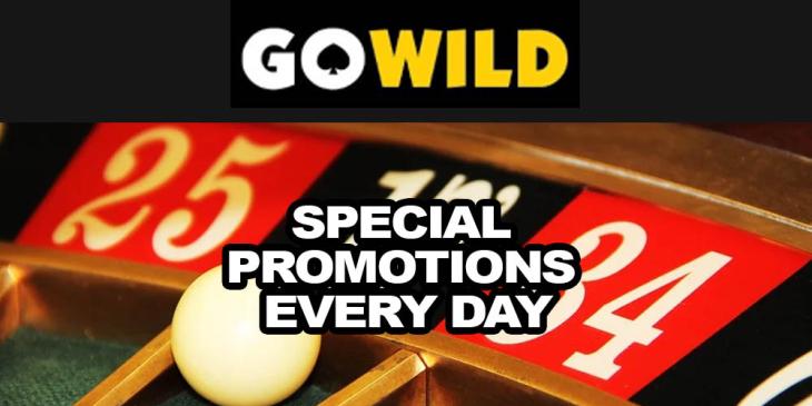 Get Special Promotions Every Day at GoWild Casino