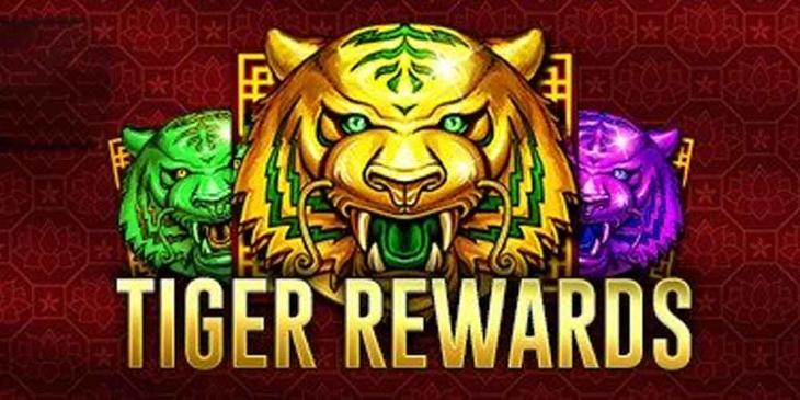 Win Money and Free Spins Every Day With Omni Slots