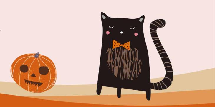 Halloween Bingo Tournament at Chit Chat Bingo – Win Your Share of £500