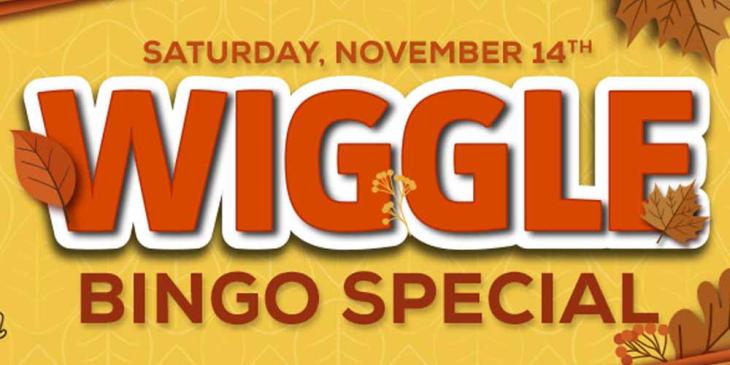 Online Bingo Cash Prizes in November – Win the $500 Top Prize