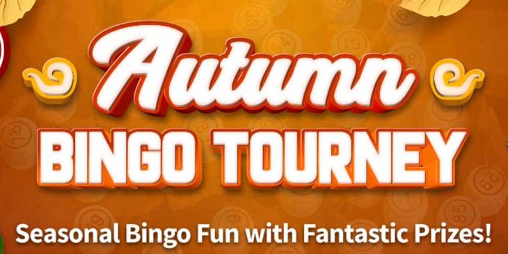Weekly CyberBingo Prizes in November – $3000 Lucky Haul this Fall