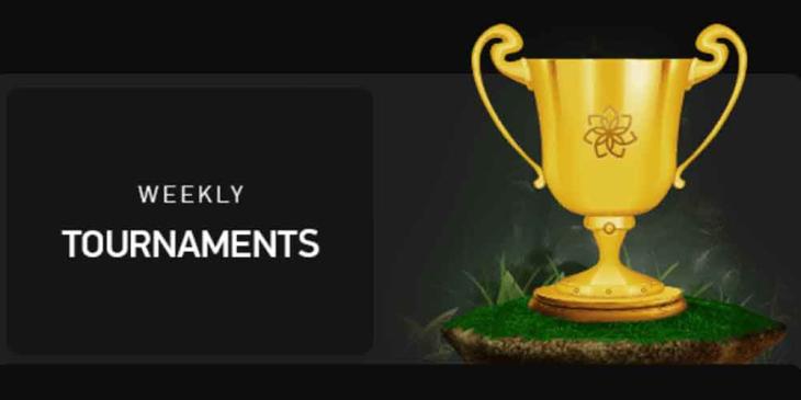 Slot Tournaments Every Week at Betchan Casino – Play Weekly and Win
