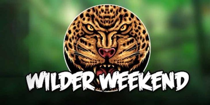 Daily Match Bonuses and Free Spins at Omni Slots – Get up to 35% Bonus