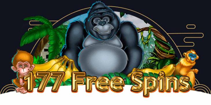 Online Casino Promo Code Promotion With Katsubet Casino