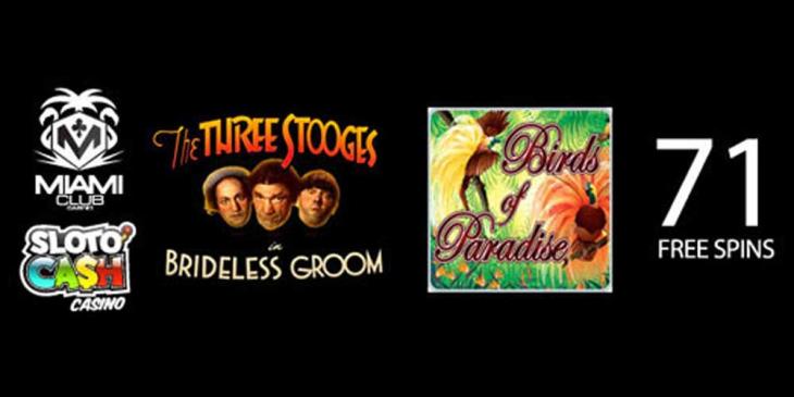 Slotocash Casino Free Spin Codes: Max Cashout $200