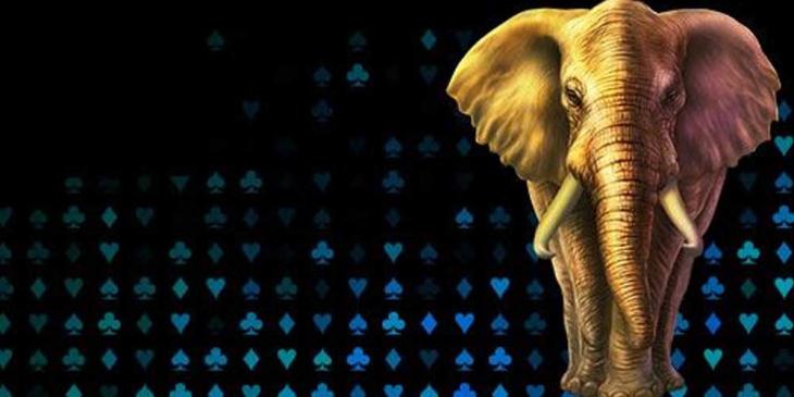 Free Spins on Bitcoin Deposits at Juicy Stakes – Get up to 60 Free Spins