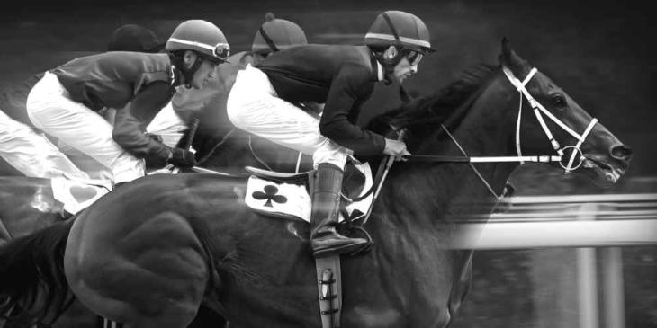 Play for Cheltenham Freeroll Tickets at bet365 Poker