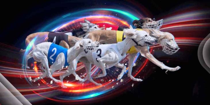 Netbet Sportsbook Free Bets: Stake £50 and Get a £10 Free Bet