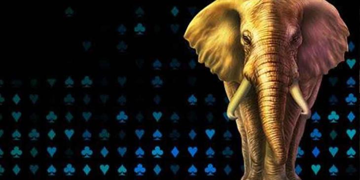 Juicy Stakes Bitcoin Promo: Take Part and Win Your Extra Share