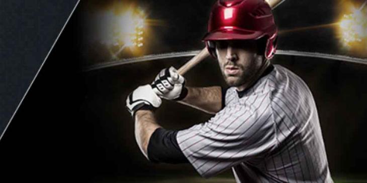 Place Bets on Esports Cricket: Enjoy the Game and Win with 1xBet!