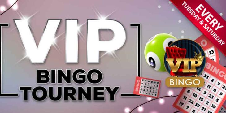 VIP Bingo Tournament: Hurry Up to Get a Piece of The $ 545 Prize Pool
