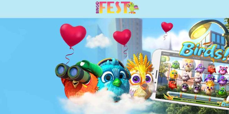Exclusive BingoFest Valentine’s Day Bonus – Grab Your $40 Bingo Bonus