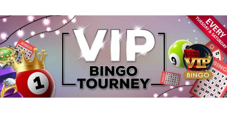 VIP Bingo Tourney at Cyberbingo: Hurry Up to Win $200.00 Cash
