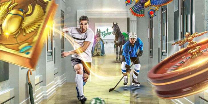 Win Money Every Day: Incredible Offer At Mr Green Casino