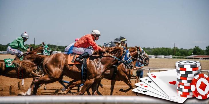 Win up to €2000 Cash at bet365 Poker Grand National Leaderboard