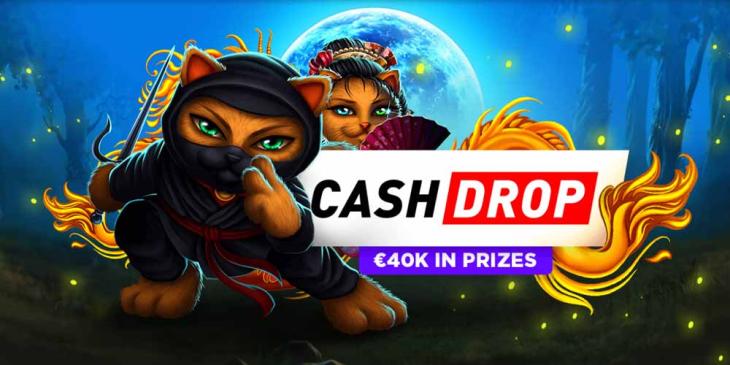 BitStarz Casino Cash Rewards – Random Drops On Slots