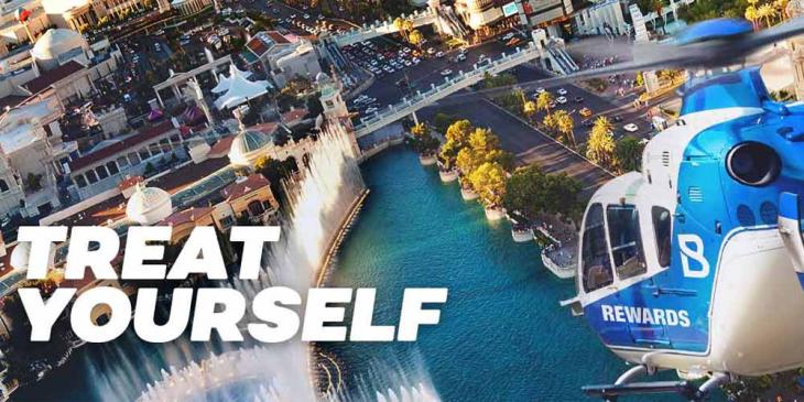 Bovada Loyalty Program: Win Extra Shares Every Day!